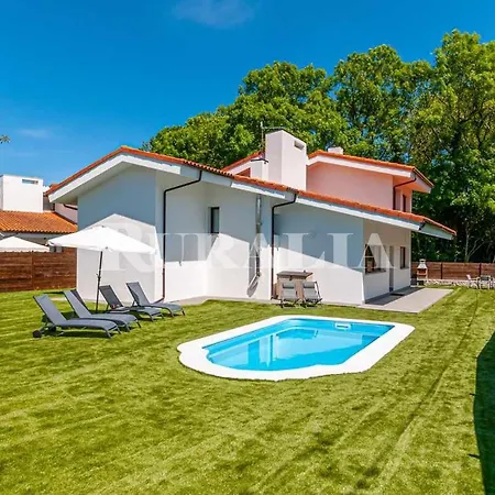 Valdés-un Lugar Idílico,cerca De La Costa *